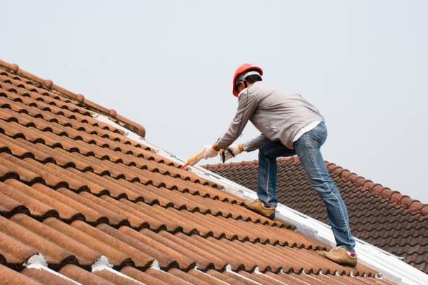 Fast & Reliable Emergency Roof Repairs in Carol Stream, IL